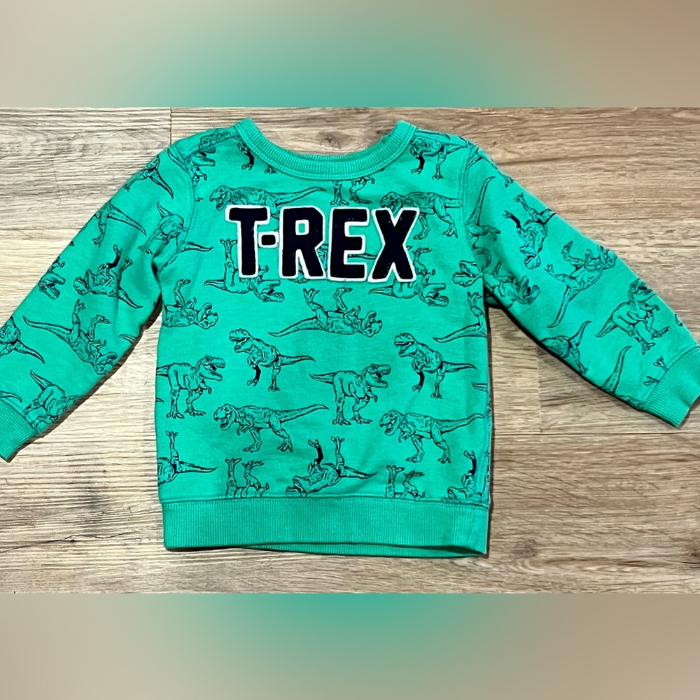 Carter's boy T-Rex sweatshirt, size 24 months